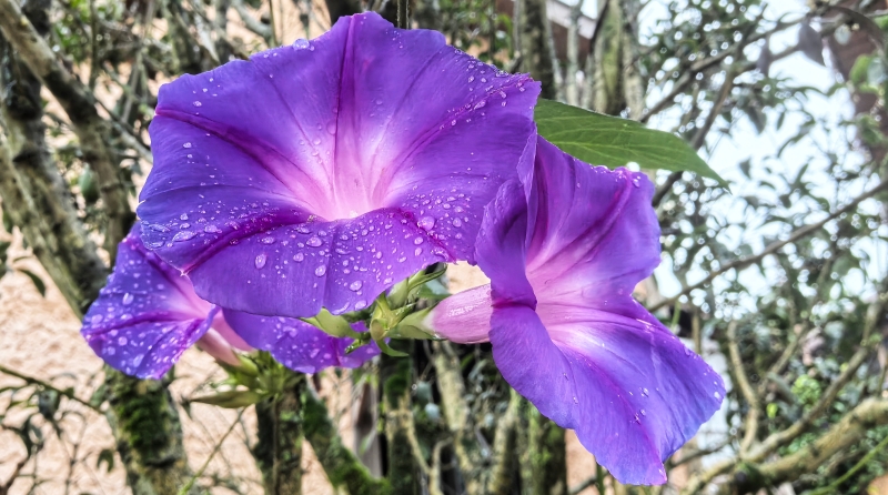 李立峰专栏｜渝州之美，一路向北④礼朝屋基