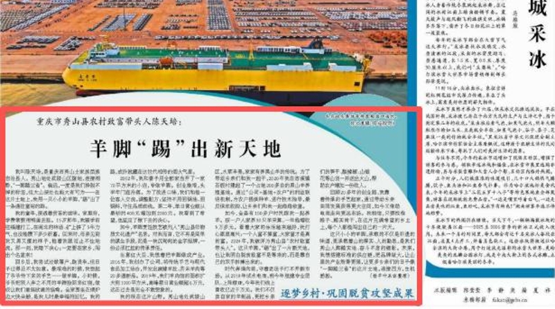 经济日报看重庆｜秀山县农村致富带头人陈天培：羊脚“踢”出新天地