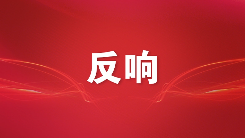 以实际行动推动高质量发展取得新成效——中央经济工作会议激励广大干部群众踔厉奋发开新局