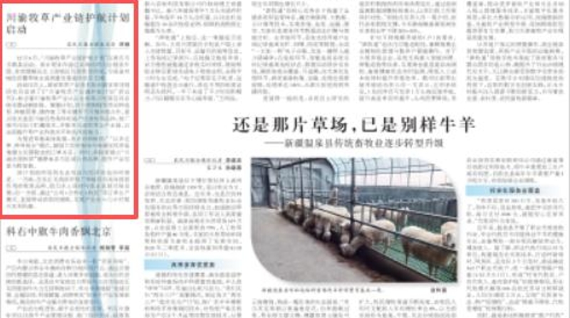 农民日报看重庆｜川渝牧草产业链护航计划启动