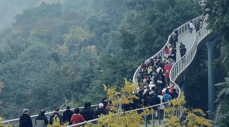 谭德成专栏｜“打卡”鹅岭栈桥