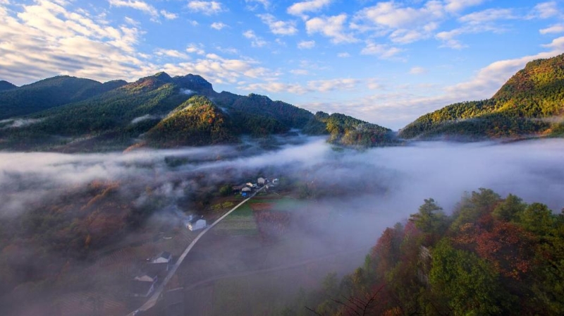 七一智库｜破解基层治理“小马拉大车”突出问题研究