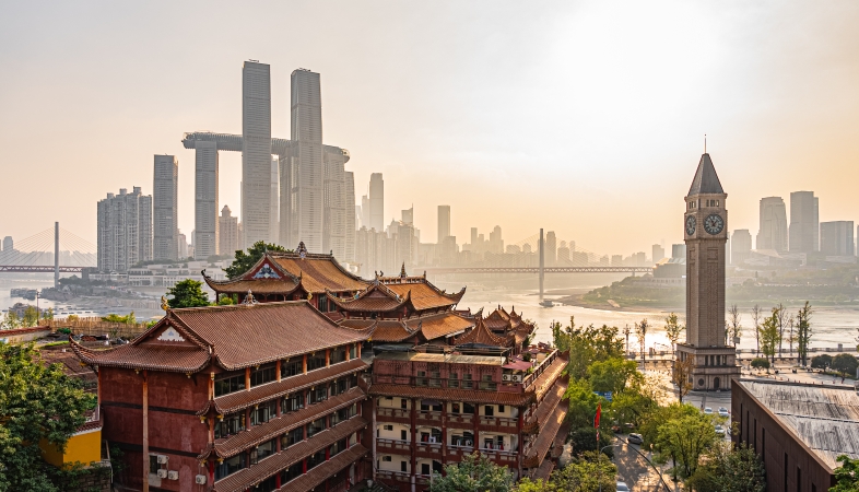 重庆医药高等专科学校教学研究室主任​刘钰：在重庆现代化实践中巩固文化主体性