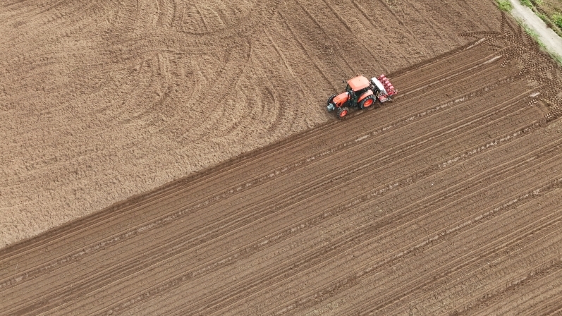 改革视点｜在重庆的沃野听见“芯”跳