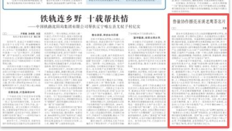 农民日报看重庆｜鲁渝协作擦亮巫溪老鹰茶名片