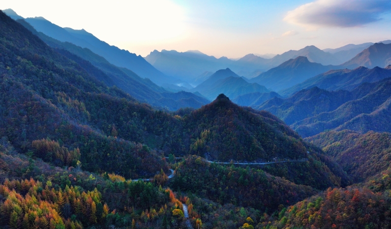 陈刚专栏｜我的大巴山十年简史（组诗）