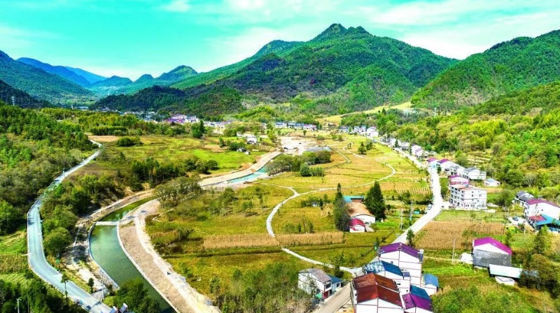 七一智库｜基层党员干部参与乡村治理的问题和对策研究