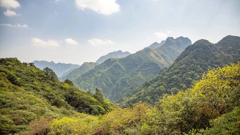 施崇伟专栏｜哀牢山记