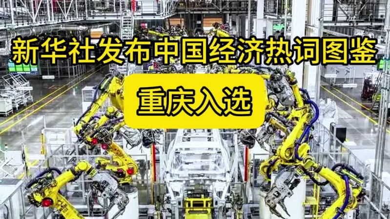 新华社发布中国经济热词图鉴 重庆入选#年度记忆