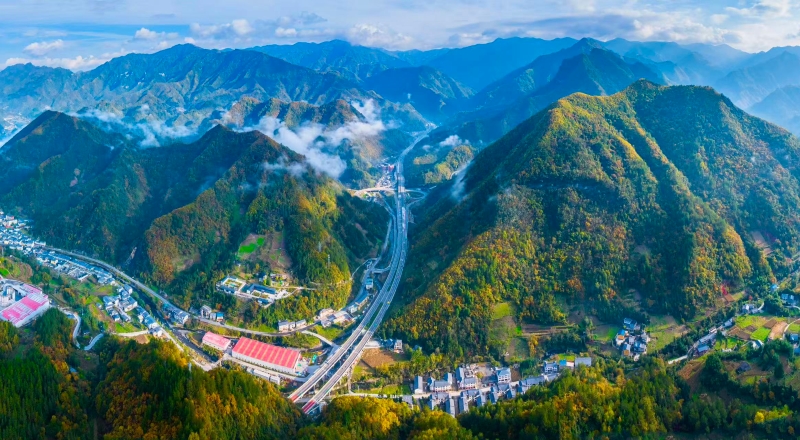 陈刚专栏｜城开大道（外一首）