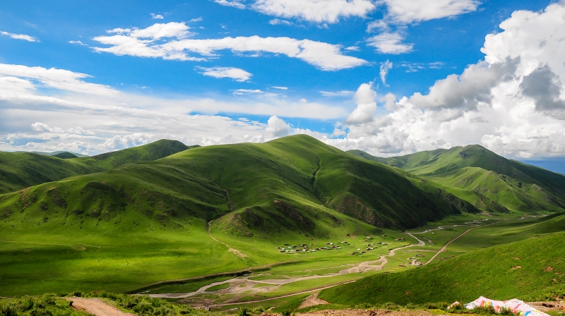 刘昌荣专栏｜心头装自然，抬头是春天——致我的2026年