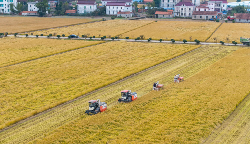 以加快农业农村现代化更好推进中国式现代化建设——从中央农村工作会议看2026年“三农”工作战略部署