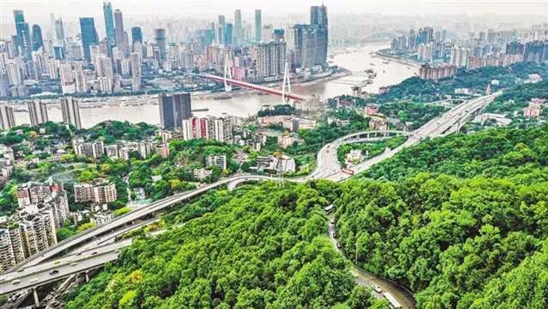 重庆文旅迎来开门红