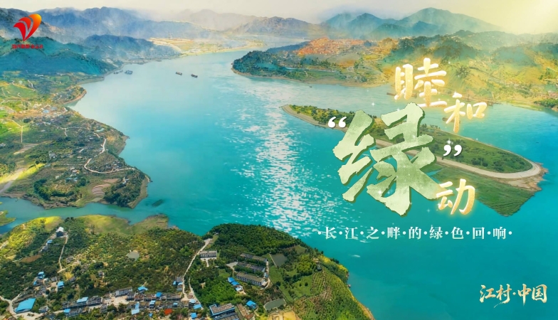 睦和“绿”动——长江之畔的绿色回响