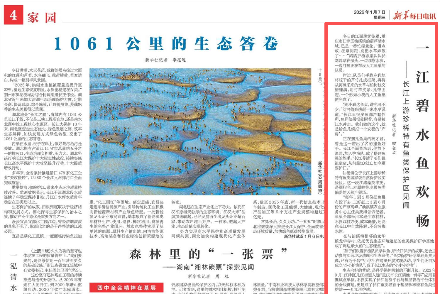 新华每日电讯看重庆｜一江碧水鱼欢畅