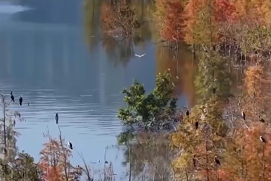 央视新闻看重庆｜长江经济带发展十年·重庆：从滩涂裸露到一湖碧波，汉丰湖的生态蝶变
