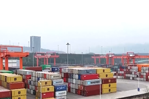 央视新闻看重庆｜长江经济带：十年守护 绿色蝶变 重庆智慧转型 内河港口变身“世界中转站”