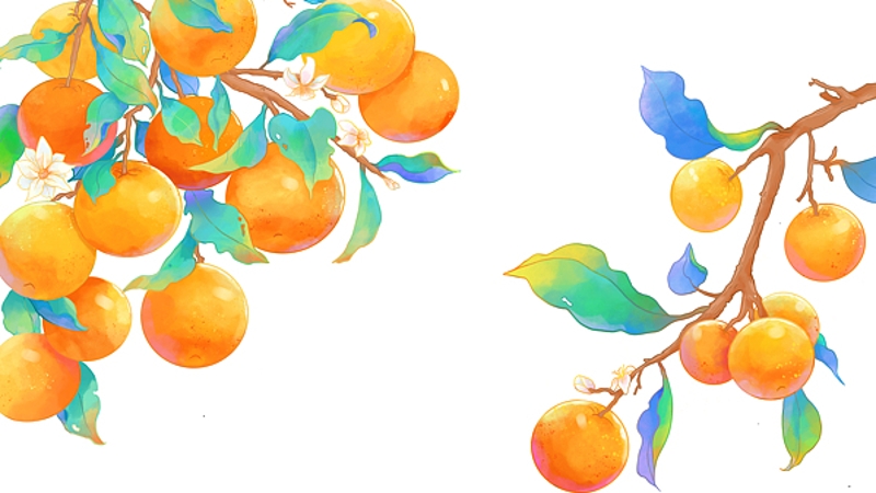 谭大松专栏｜向坪的阳光是甜的