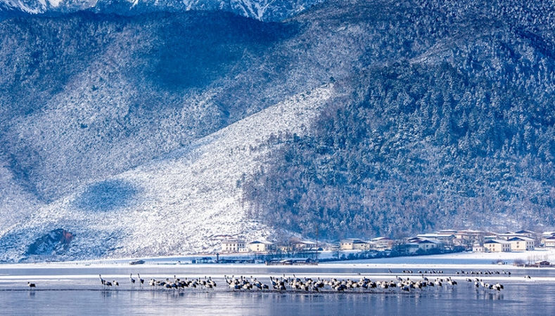 共绘长江经济带发展新画卷｜云南：在深度融入长江经济带发展中交出高质量绿色答卷