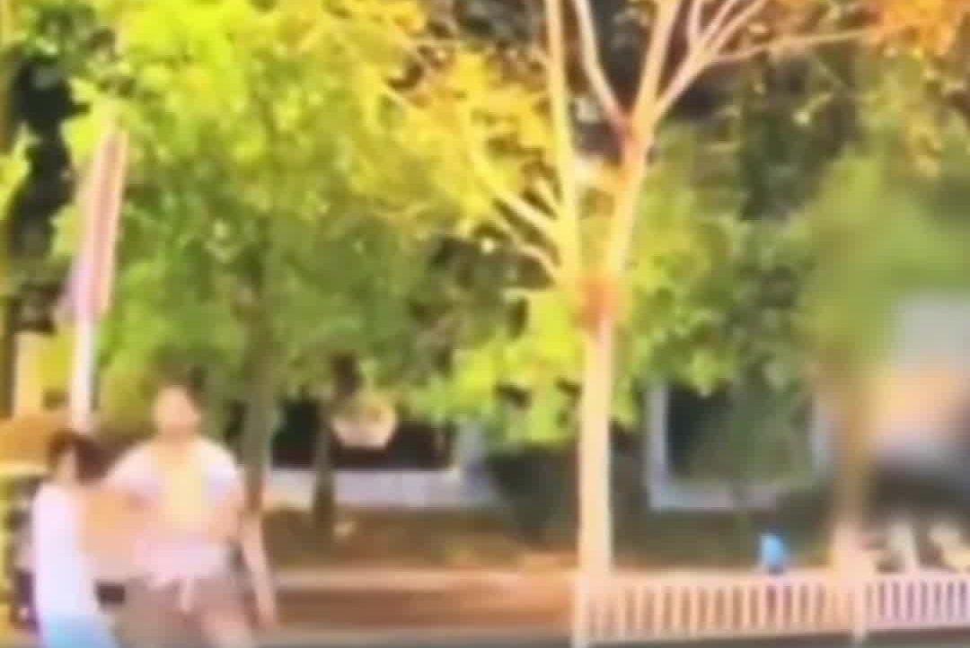 景德镇一家三口被撞案一审宣判 肇事司机被判处死缓#景德镇#审判