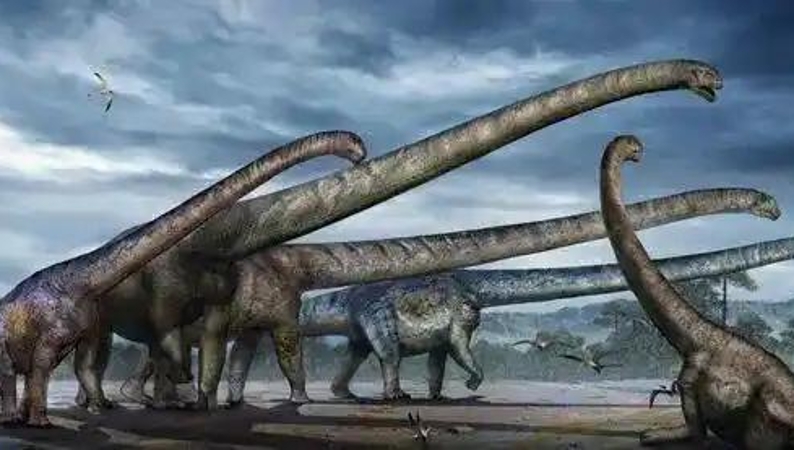 李立峰专栏｜探访三江马门溪龙