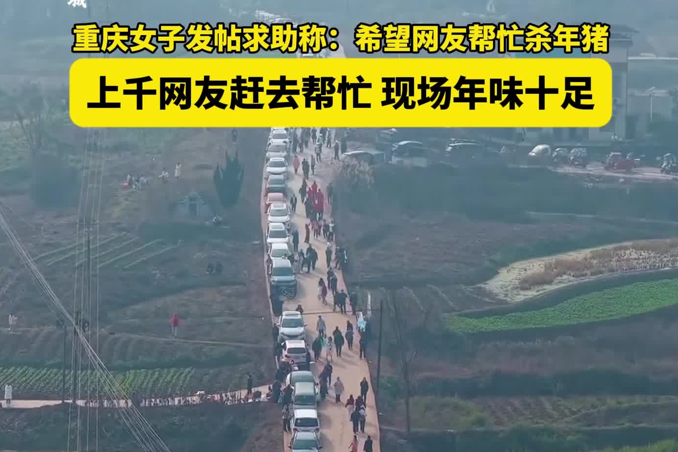 重庆女子发帖求助称：希望网友帮忙杀年猪，上千网友赶去帮忙，现场年味十足！