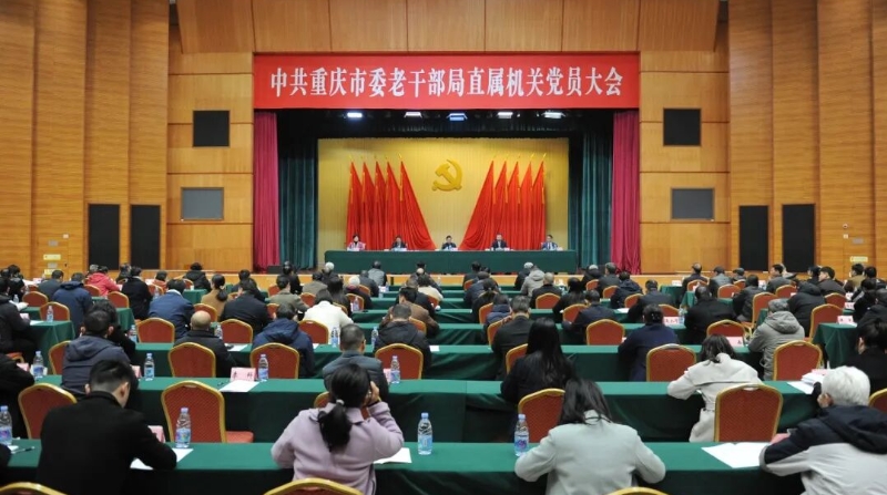 2025年重庆市直机关党建工作盘点