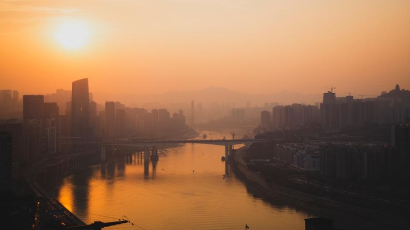 王信鸽专栏｜冬日的黄昏（外一首）