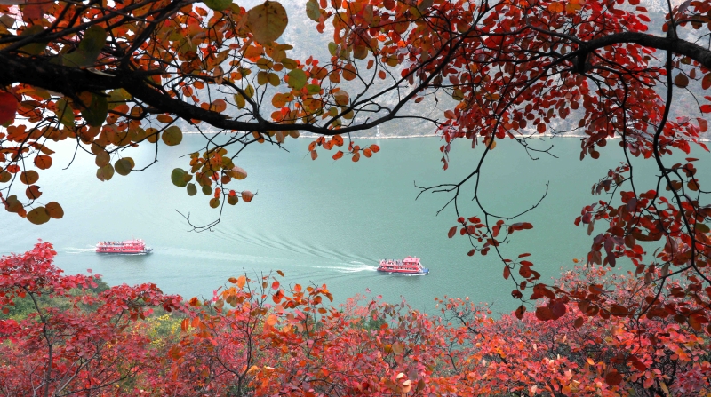 共绘长江经济带发展新画卷｜进一步推动长江经济带高质量发展