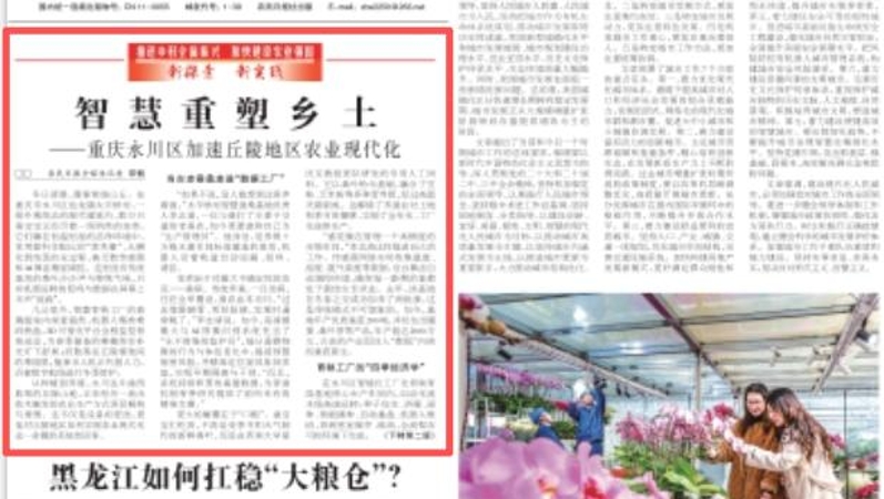 农民日报看重庆｜智慧重塑乡土