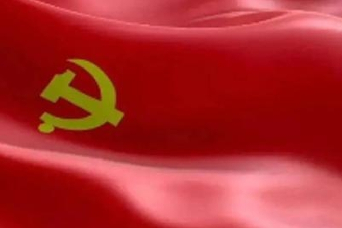 2025年组织工作盘点