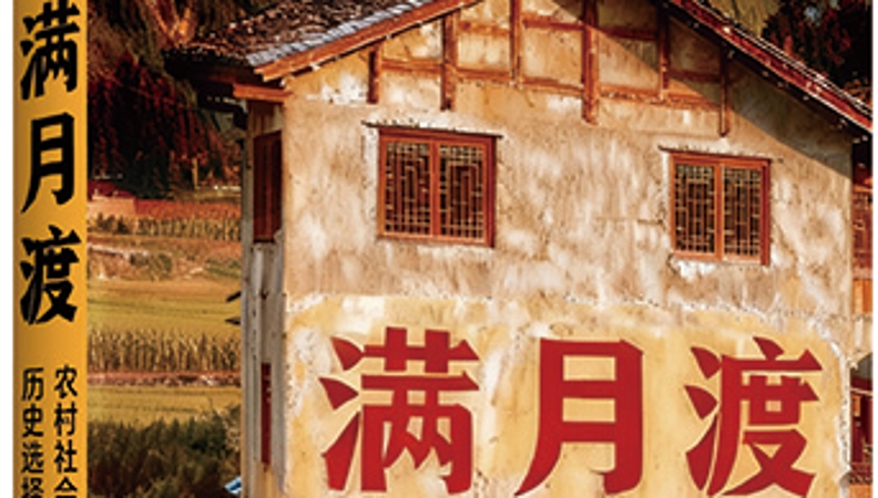 陈刚专栏｜触摸乡土的脉搏：《满月渡》里的治理温度