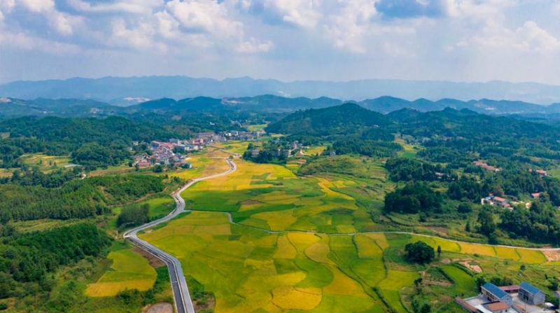 谭德成专栏｜拾忆·乡愁