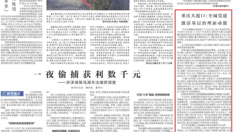 新华每日电讯看重庆｜大渡口：全域党建激活基层治理新动能