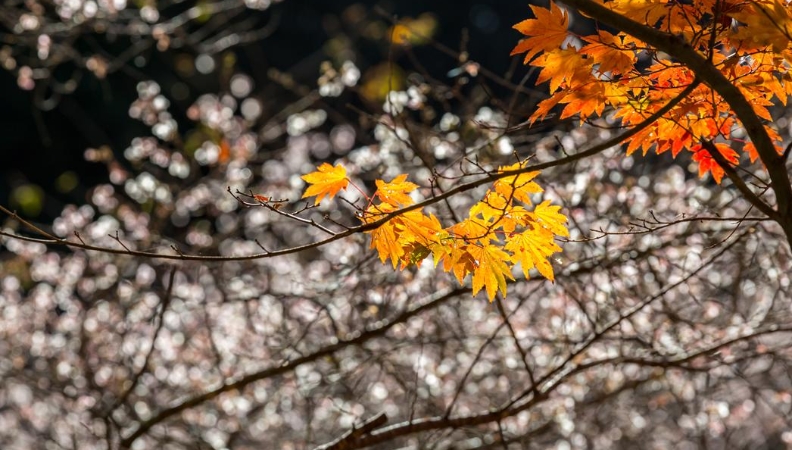 倪磊专栏｜冬日的守望