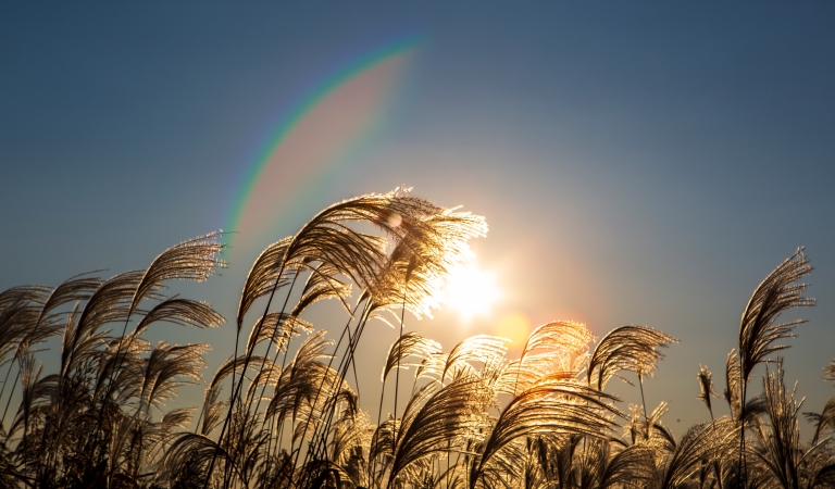 文学｜渔家傲·石魄刀锋写山河