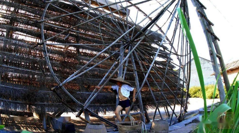 杨莙专栏｜千年卓筒井