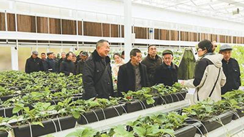 中国组织人事报看重庆｜云阳：寒冬有暖意 冬训正当时