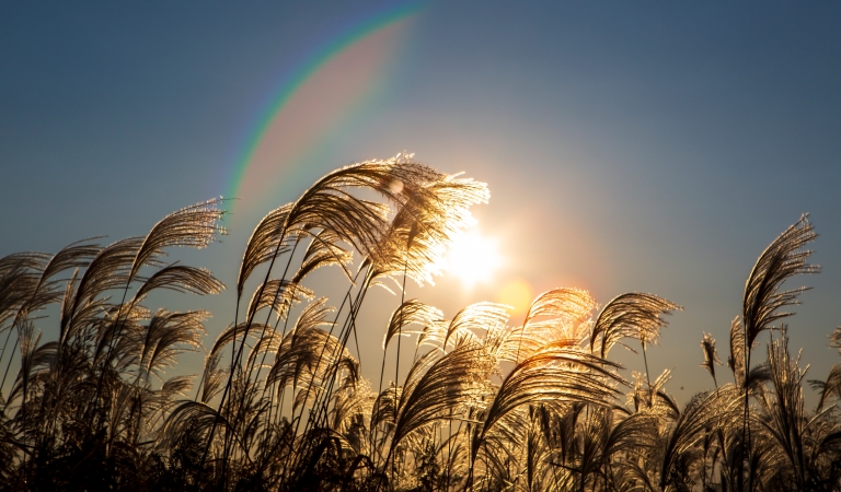 谭德成专栏｜我的妹夫