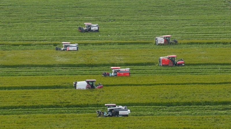 锚定农业农村现代化 扎实推进乡村全面振兴