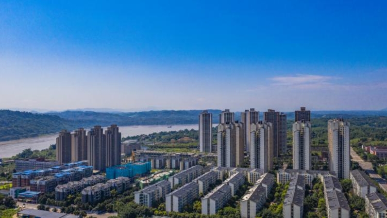 重庆永川：党建引领聚动能 “家门口经济”促振兴