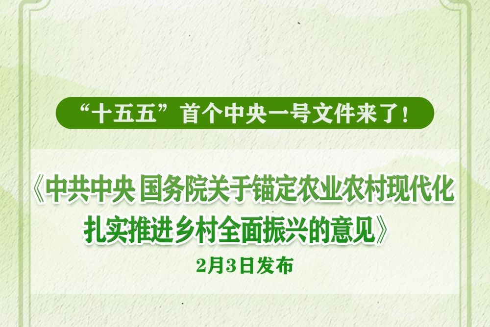 2026年中央一号文件发布