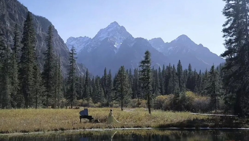 普通人做自媒体，如何走得更远？