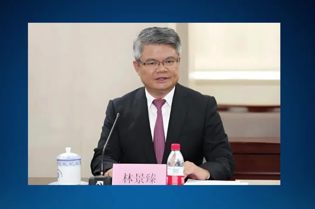 中国银行原党委委员、副行长 林景臻被开除党籍