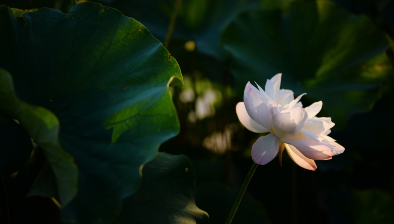 七一时评｜不断提高教育领域反腐败穿透力