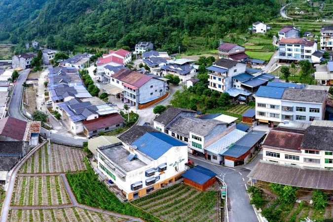 重庆开州：不断发展壮大农村集体经济收益 绘就宜居宜业和美乡村新画卷