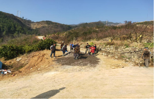 从泥泞到坦途，重庆奉节龙关村党群同心打通脐橙“出山路”