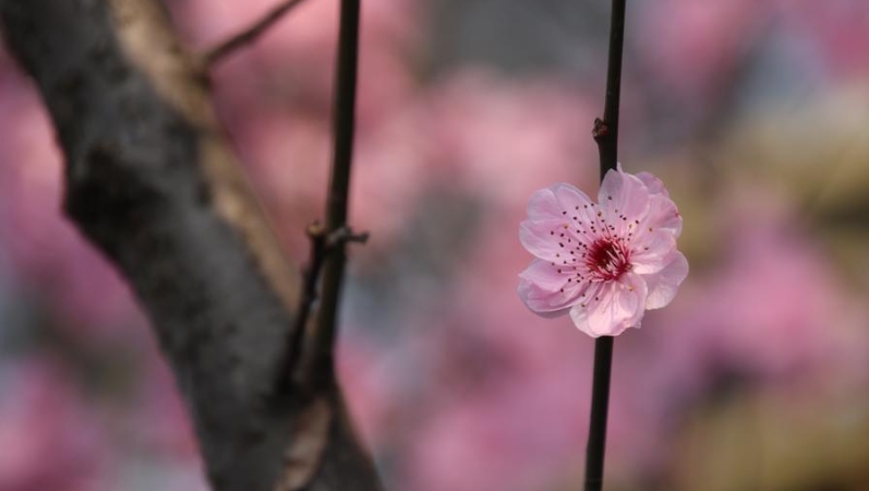 向铁生专栏｜靠近温暖