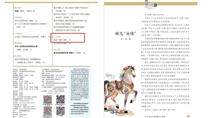 巴山夜雨 | 难忘“马情”