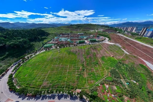 人民网看重庆｜“城市菜园”成长记